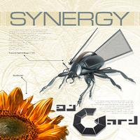 DJ Gard presents Synergy (Vol.1 (50 Techno, Trance & Electro Anthems))