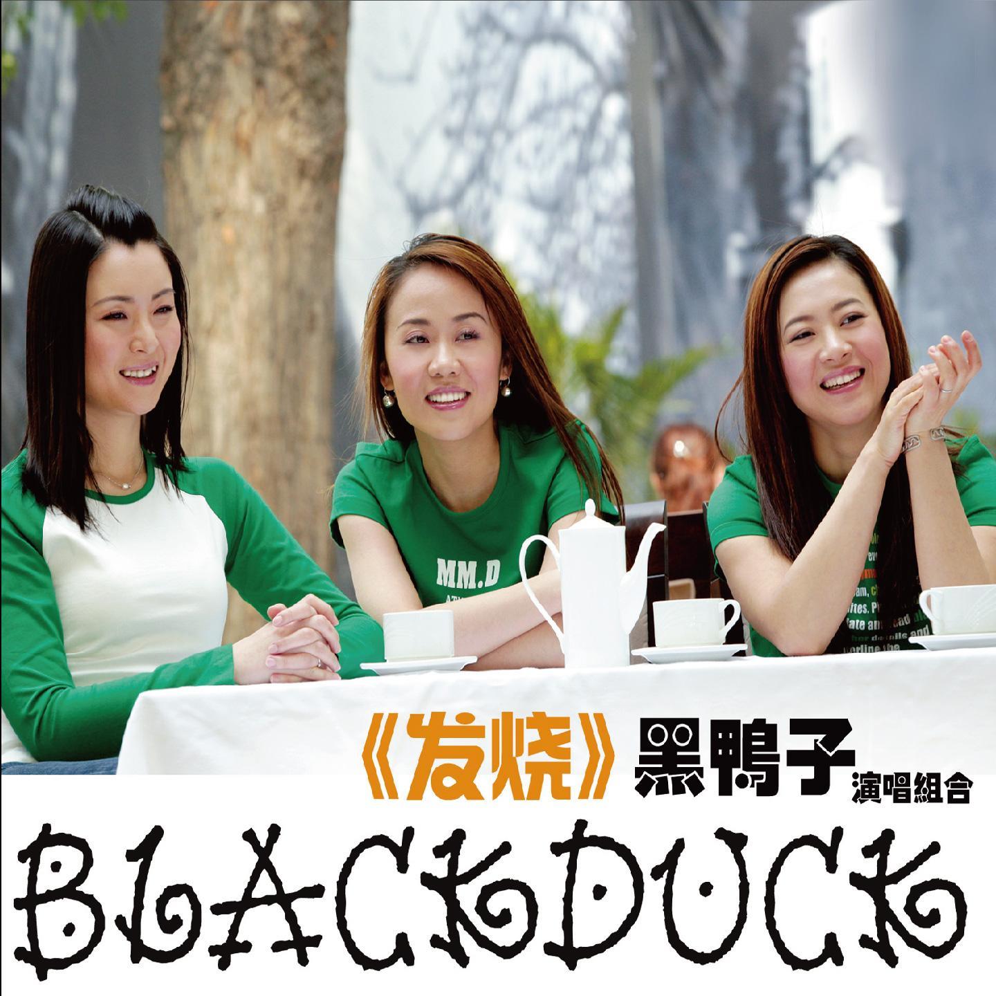 绒花 - 黑鸭子封面