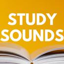 Study Radiance