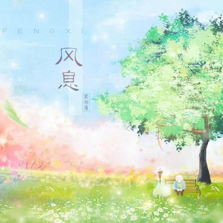 风息封面