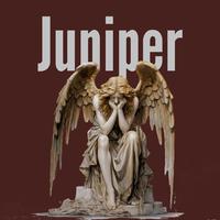 Juniper