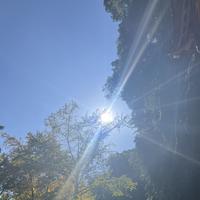 李云飞
