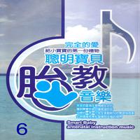 聰明寶貝胎教音樂 6 (Smart baby antenatal instruction muics)