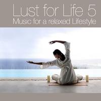 Lust for Life Vol.5 - Music For A Relaxed Lifestyle