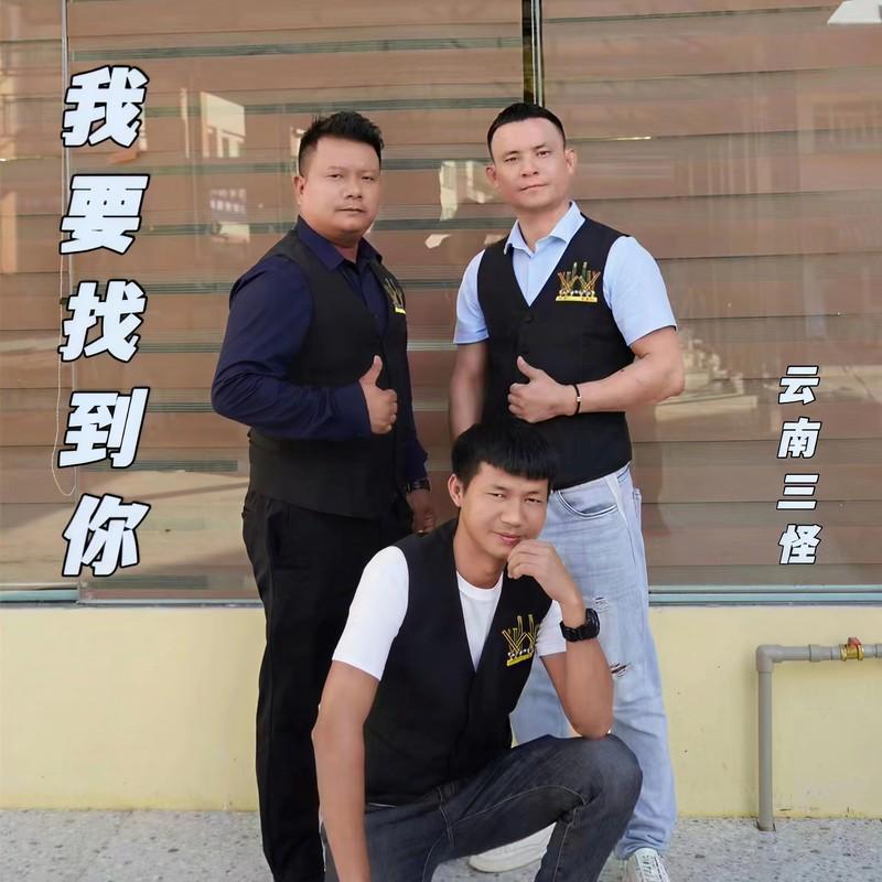 我要找到你封面