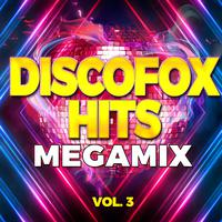 Discofox Hits Megamix, Vol. 3