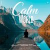 DJ NYK - Calm The World