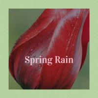 Spring Rain