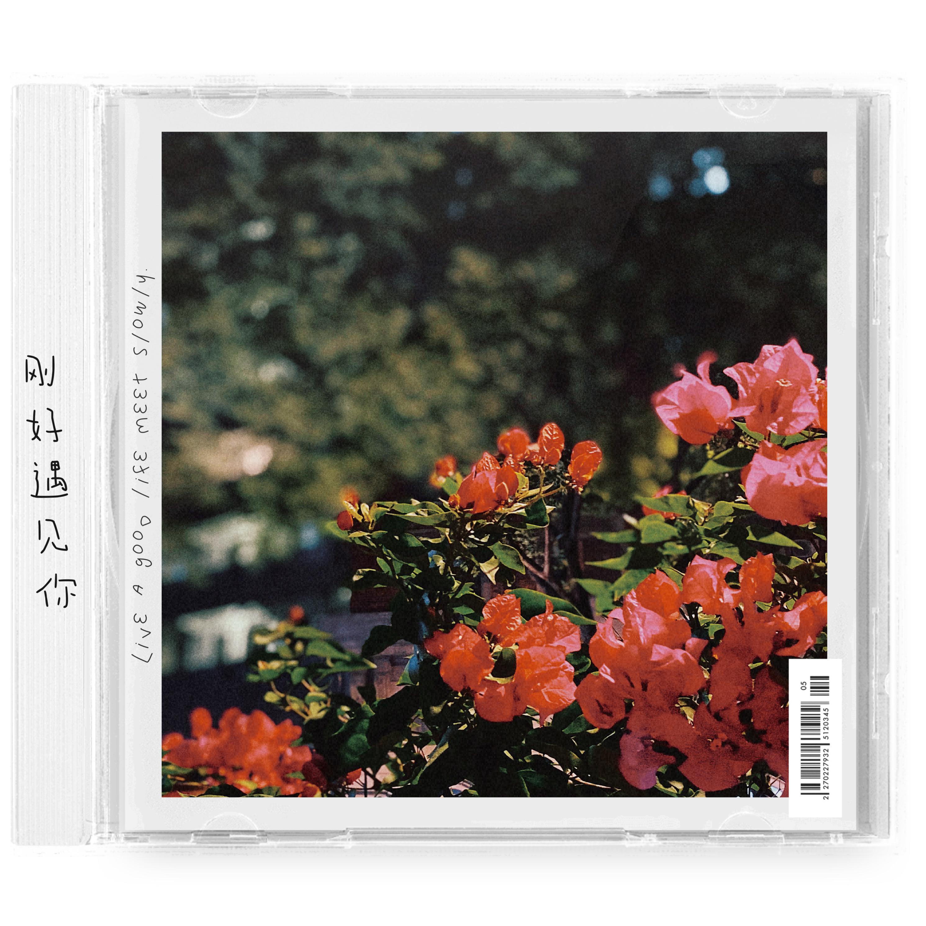 下一次恋爱封面