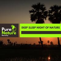 Deep Sleep Night of Nature