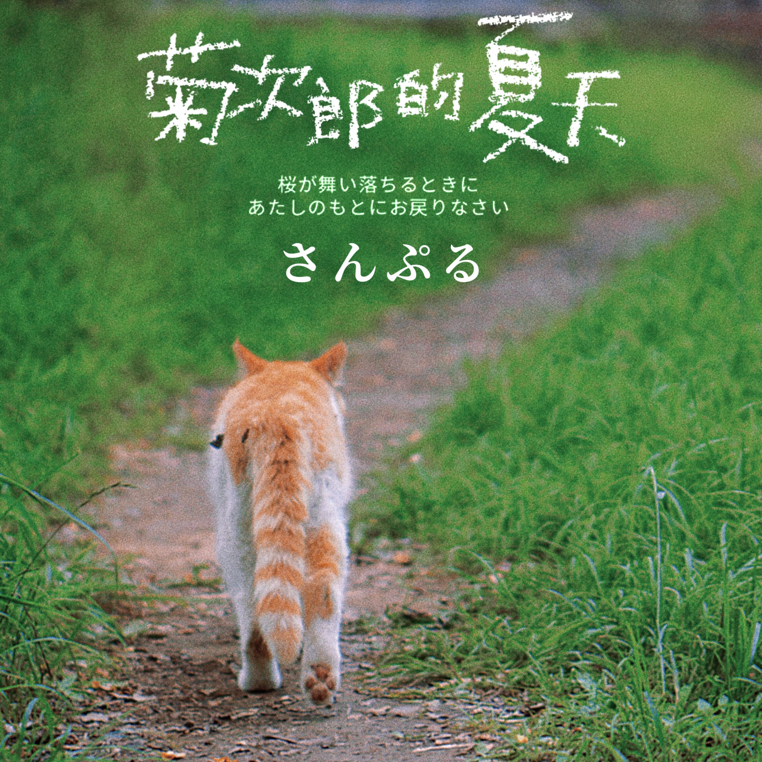 又不会有人代替你(原创Demo)封面