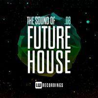 The Sound Of Future House, Vol. 08