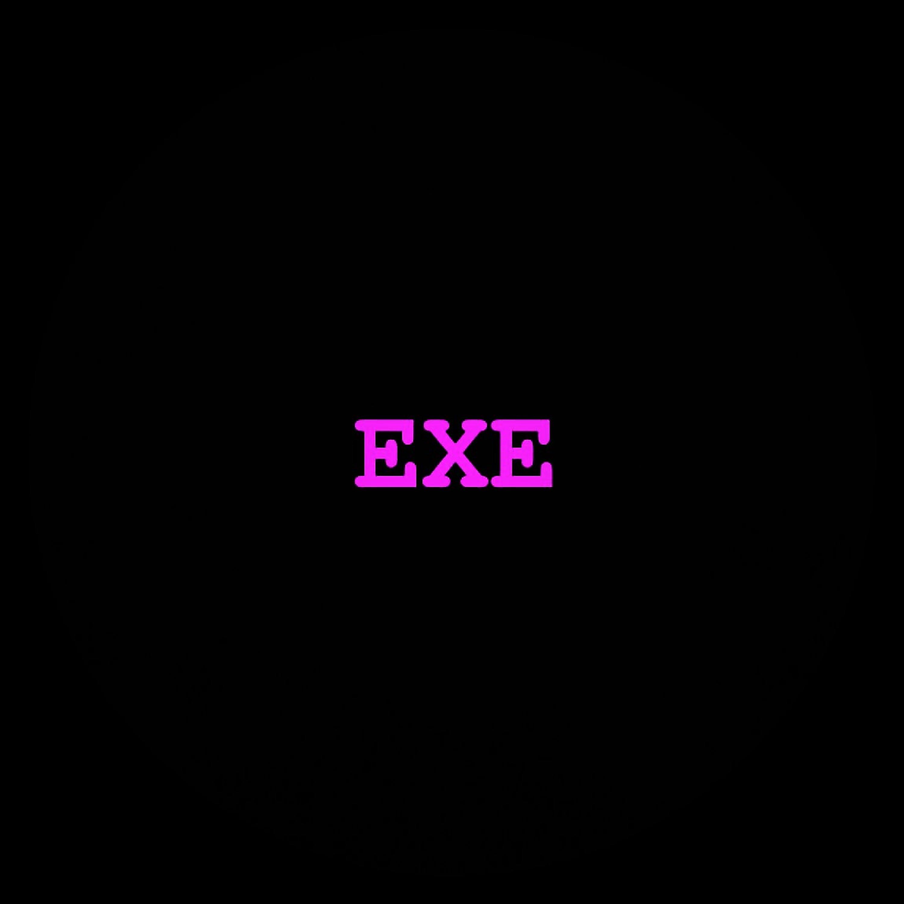 EXE