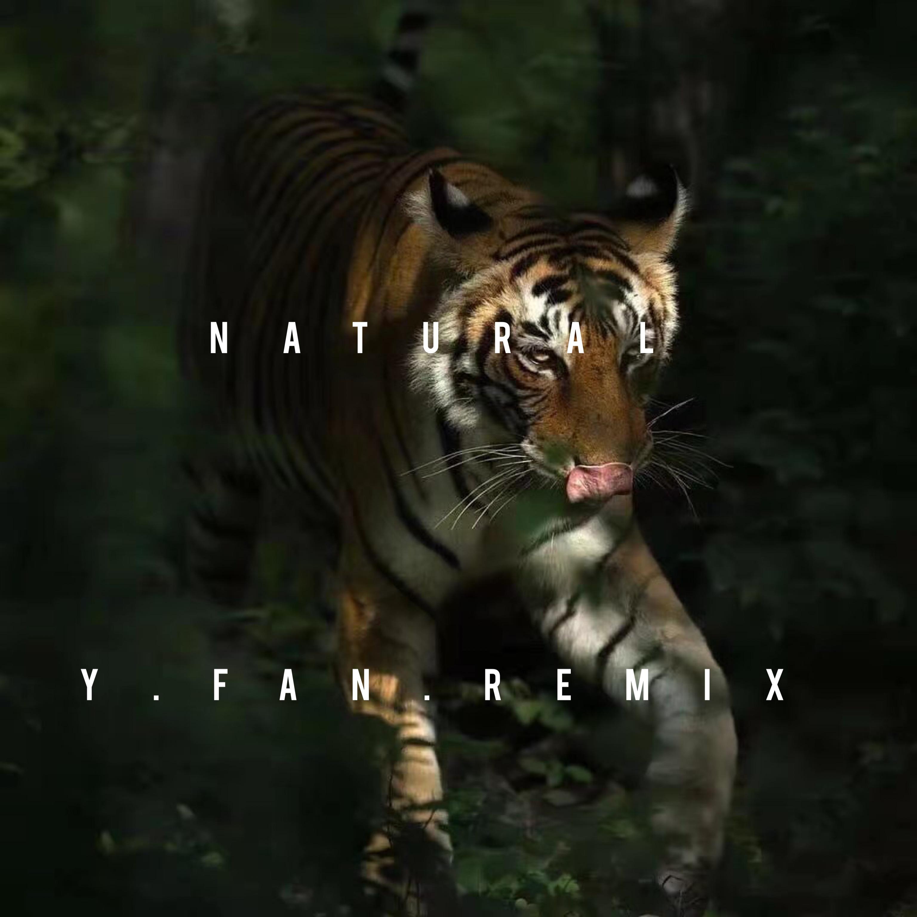 Imagine Dragons-Natural（Y.FanRemix）（Y.Fan remix）