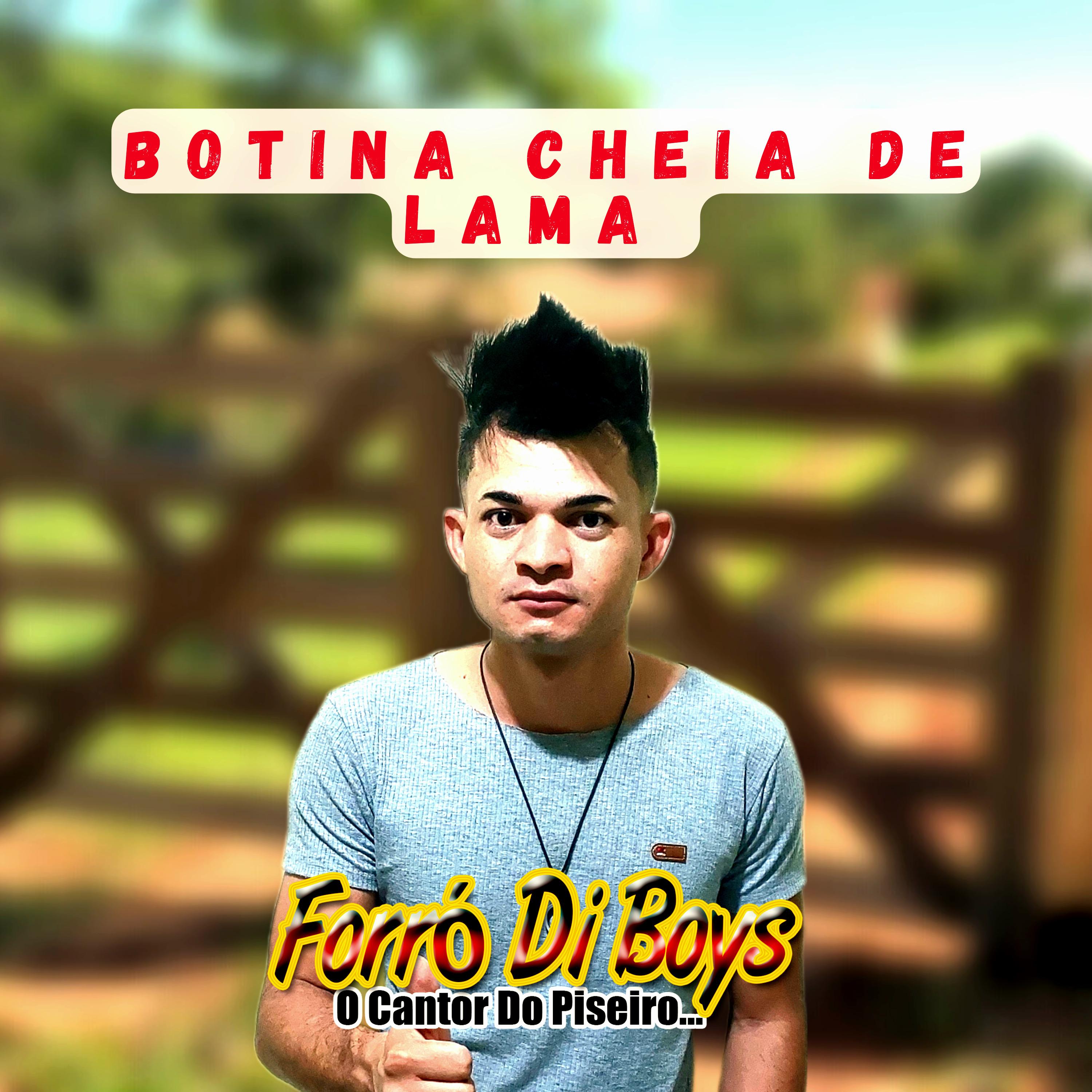 Botina Cheia de Lama