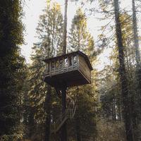 Cascade - The Treehouse