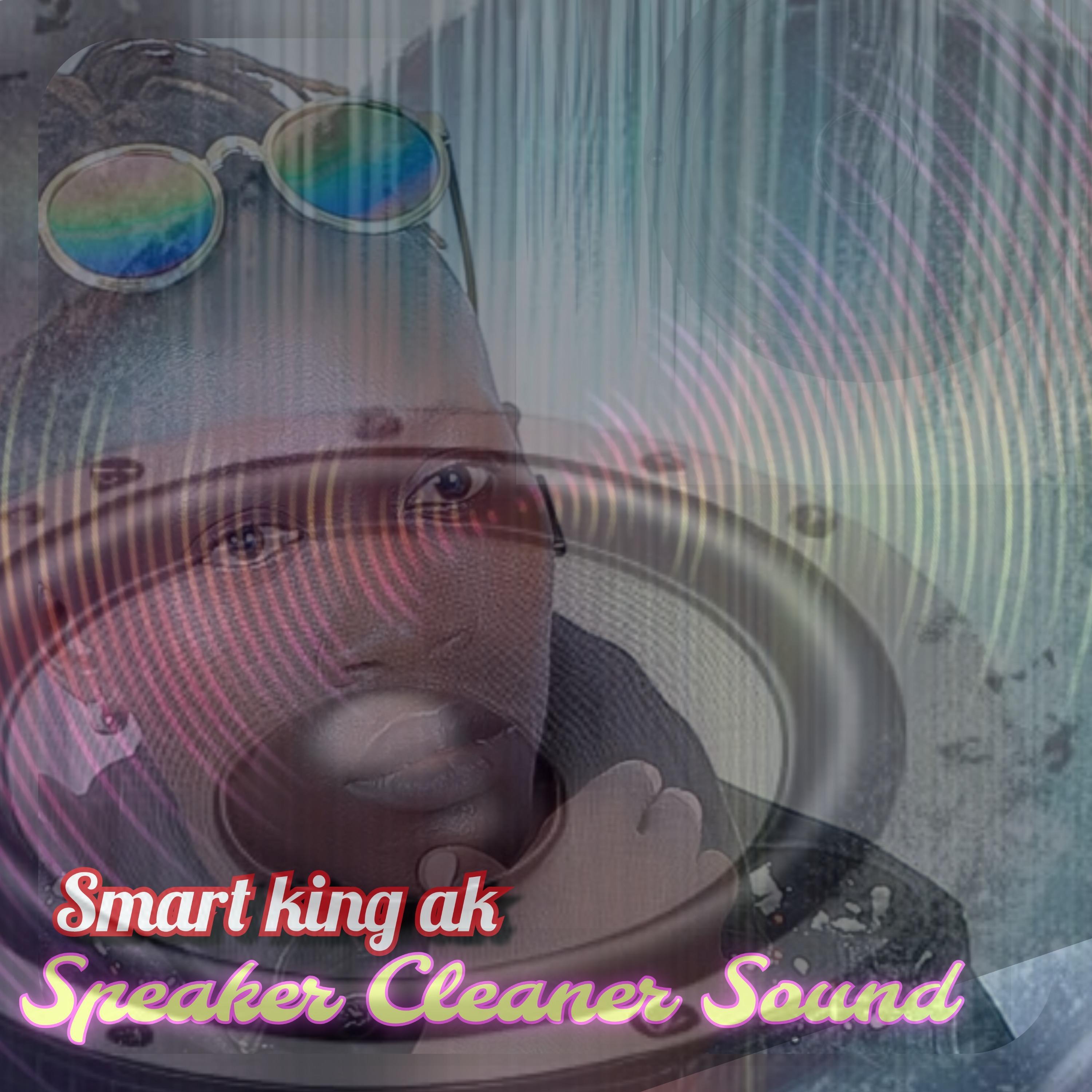 Speaker Cleaner Sound