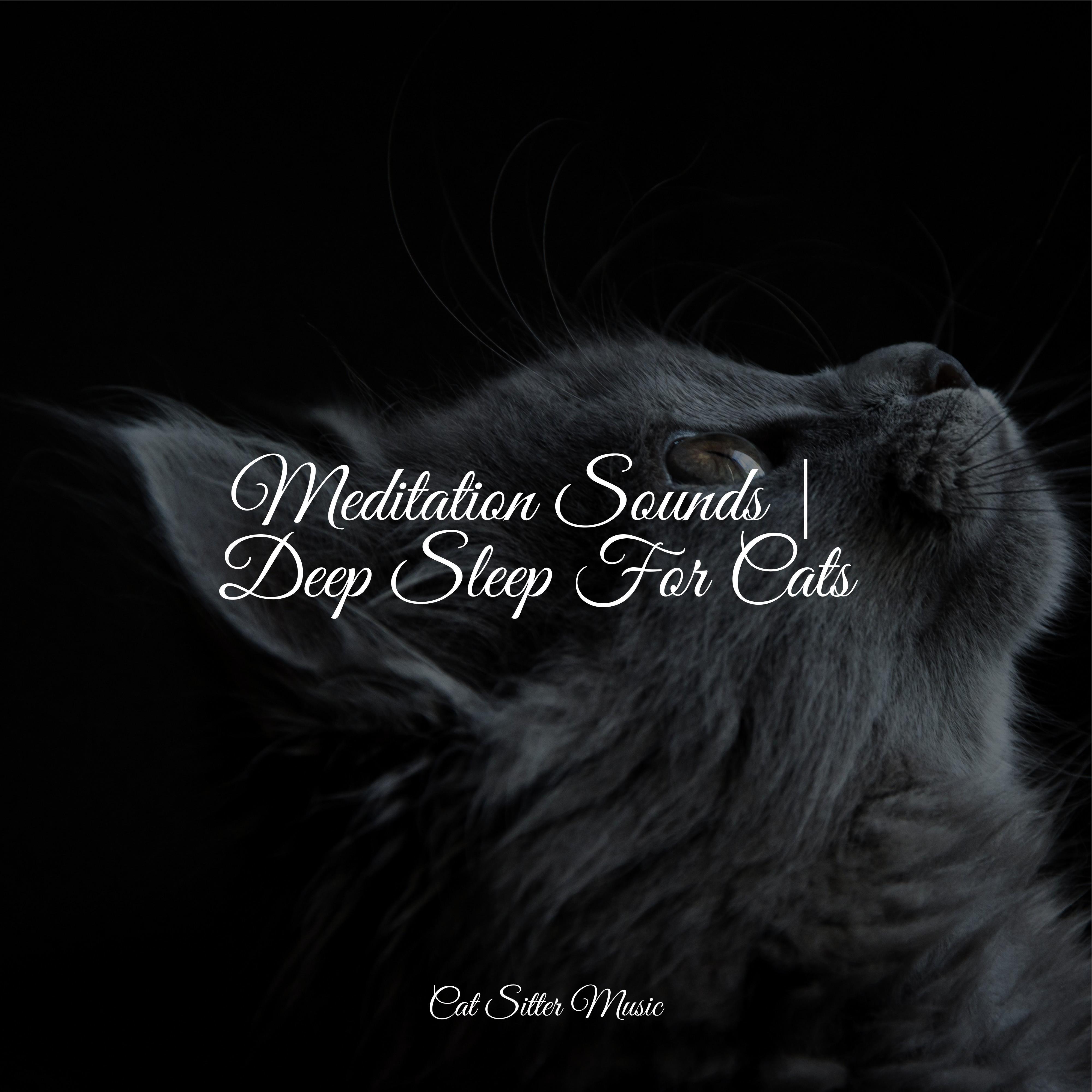 Breath of a Whisper - Music for Relaxing Cats/Calm Music for Cats/Cat ...