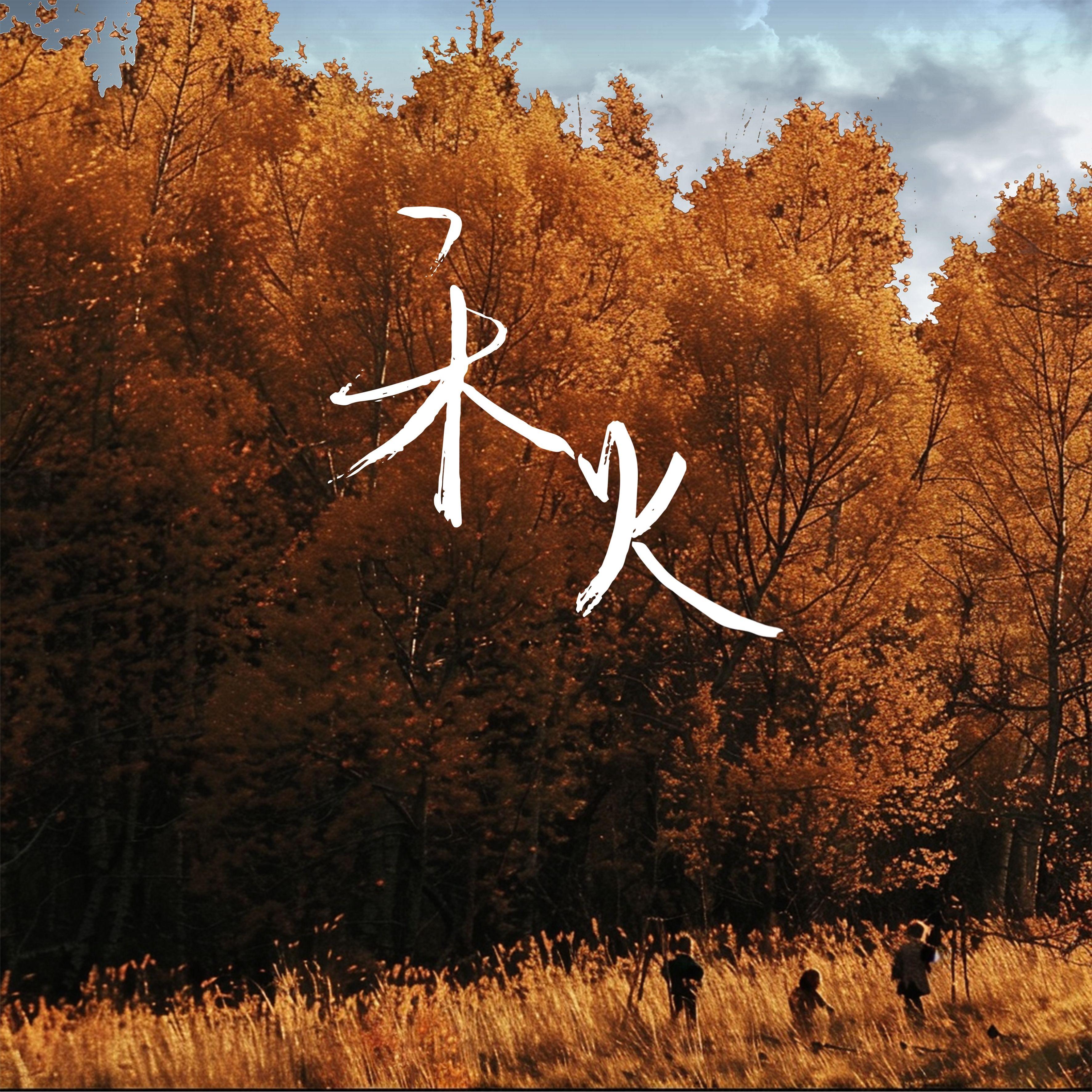 禾火（手碟handpan）