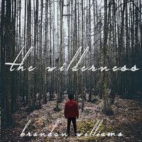 The Wilderness