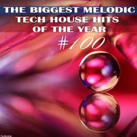 The Biggest Melodic Tech House Hits of the Year # 100