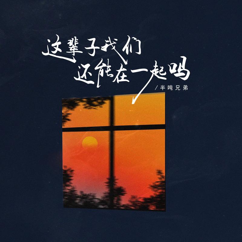 这辈子我们还能在一起吗(DJ版)封面