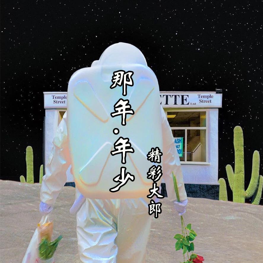 那年年少封面
