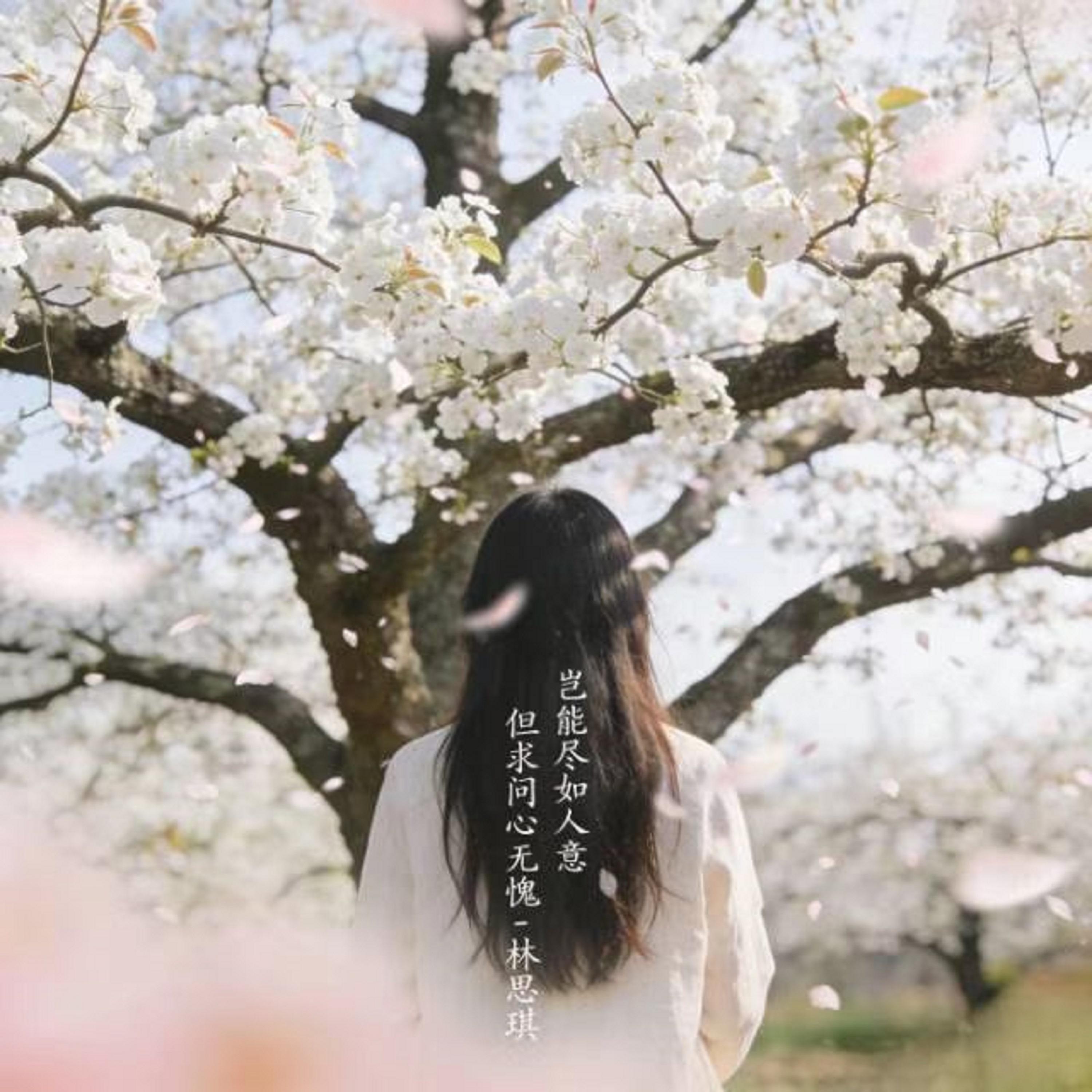 岂能尽如人意 但求问心无愧 (烟嗓版)封面