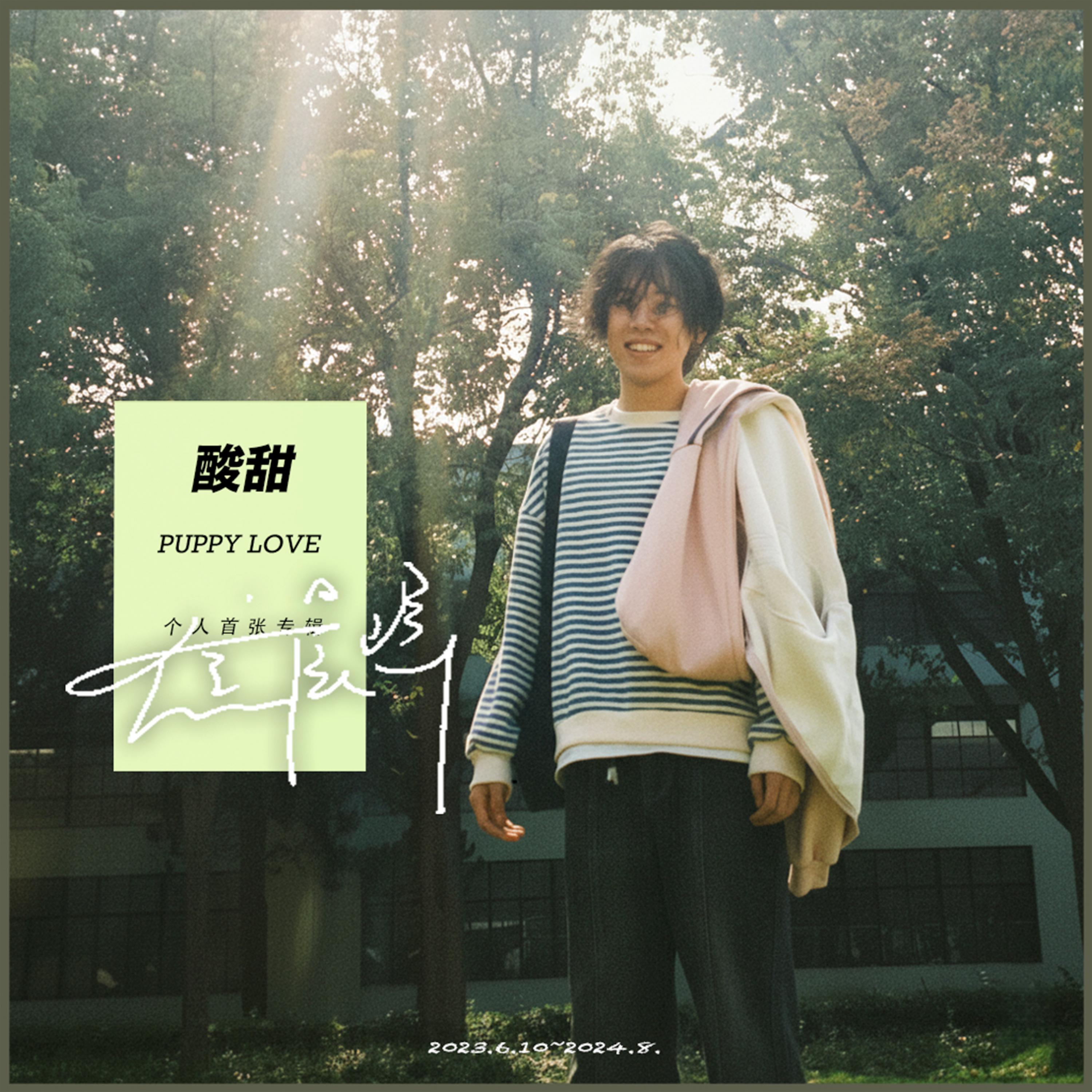 酸甜（PUPPY LOVE）封面