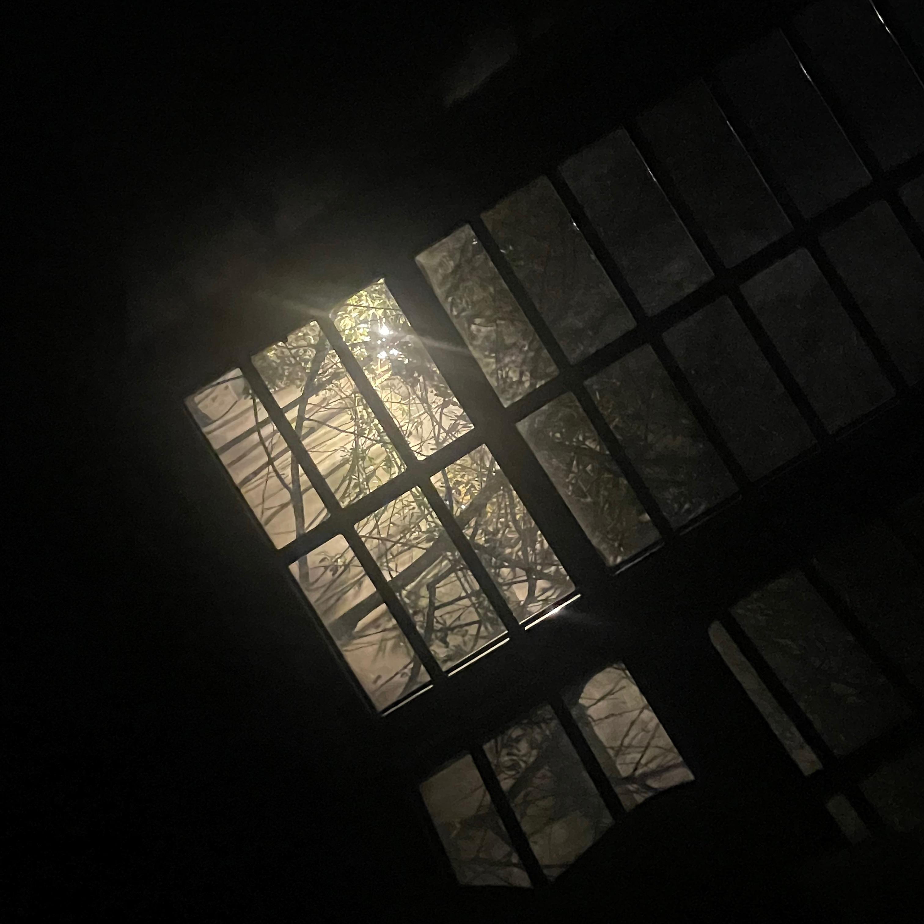 麻目_Maybach-20240420-071236 - 病变封面