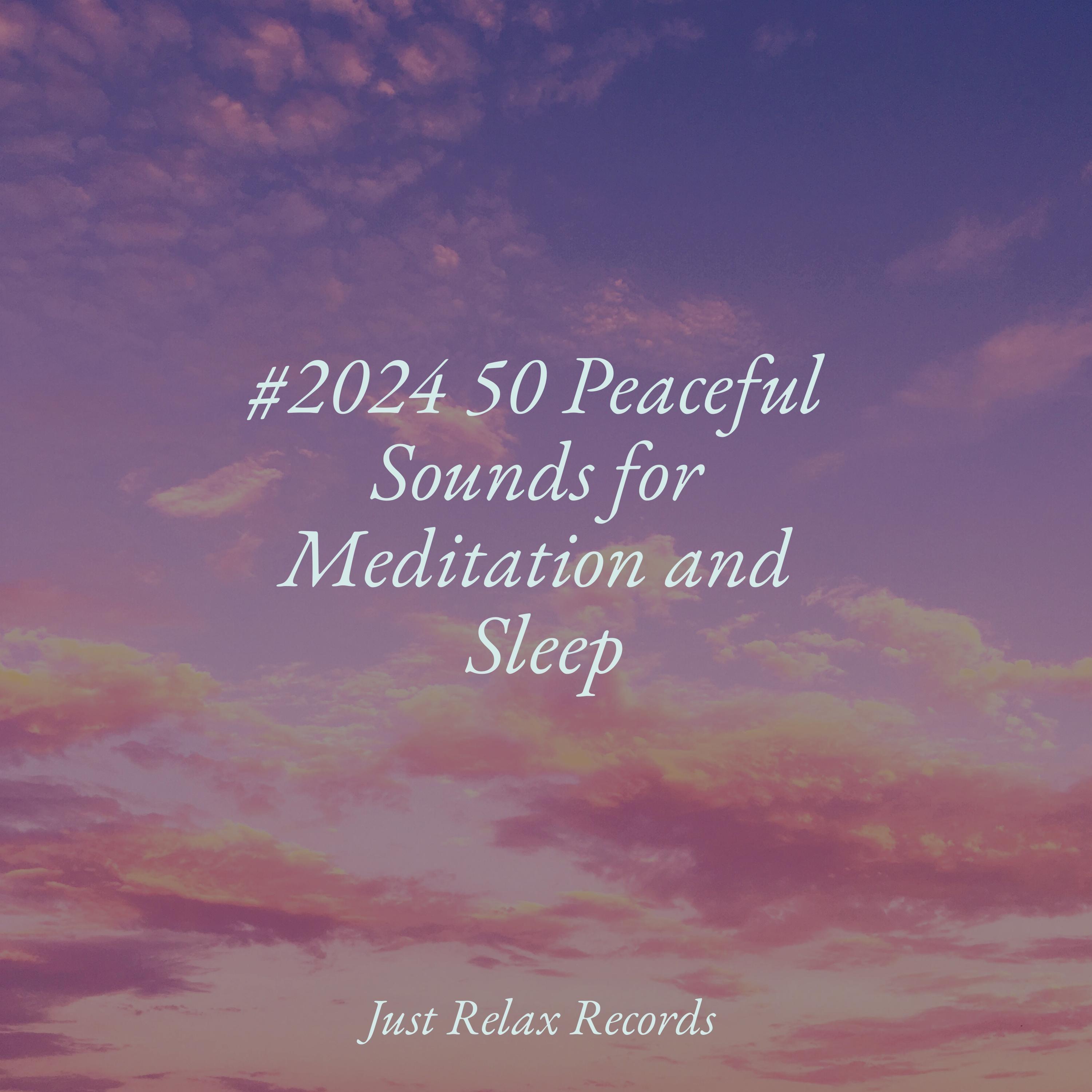 #2024 50 Peaceful Sounds for Meditation and Sleep - Música para Meditar ...