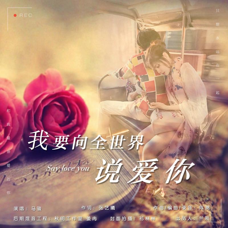 我要向全世界说爱你 - 马骏封面