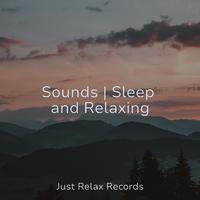 Musica Romantica Ensemble - Rhythmic Reflections by the Lake