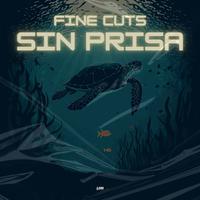 Sin prisa