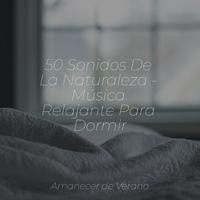 50 Sonidos De La Naturaleza - Música Relajante Para Dormir