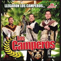 Llegaron Los Camperos