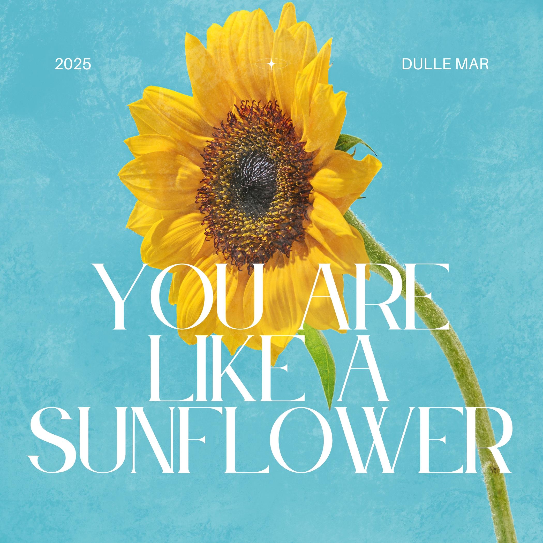 Riot of Broken Rainbows