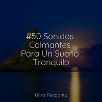 #50 Sonidos Calmantes Para Un Sueño Tranquilo