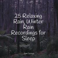 25 Relaxing Rain, Winter Rain Recordings for Sleep