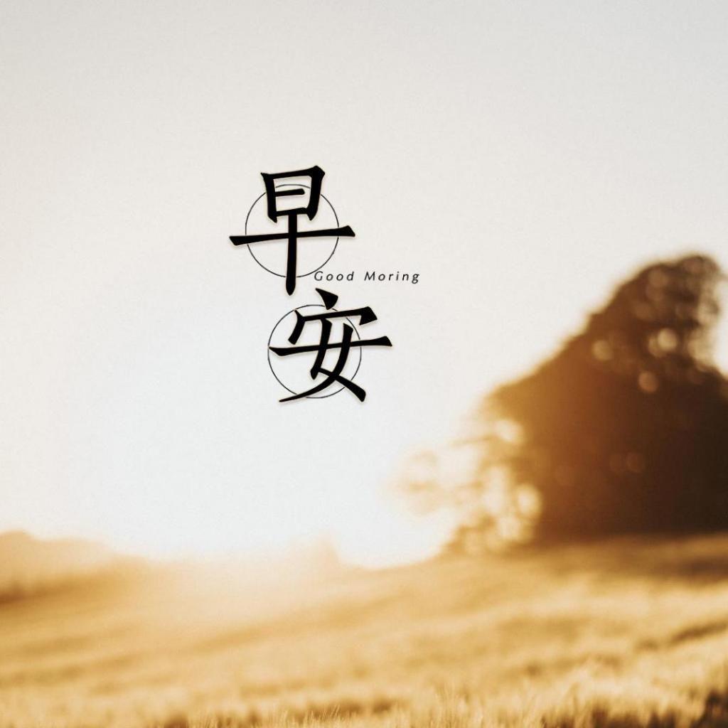 醉千年封面