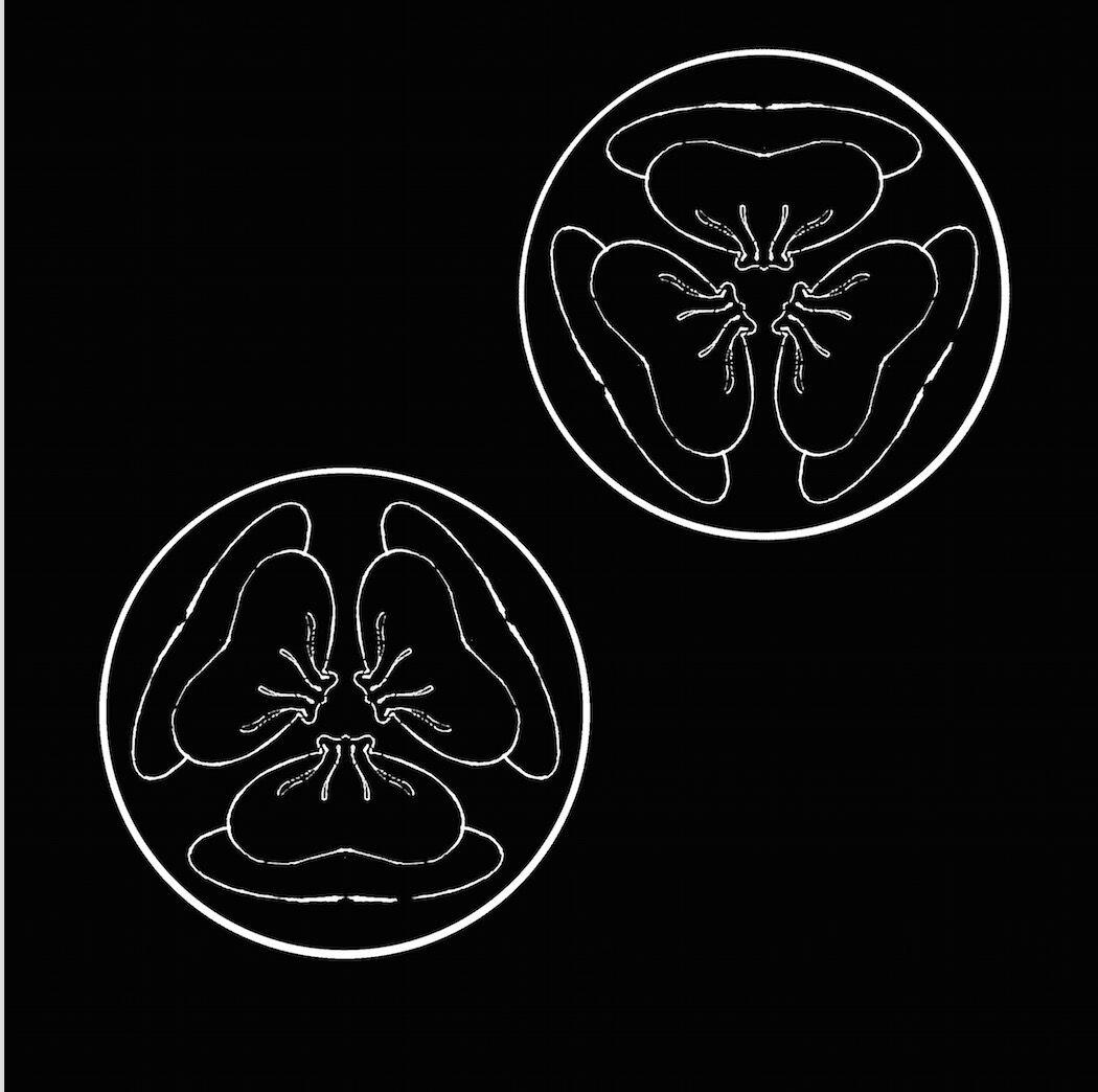 他眼里有雾(Prod. PDP)