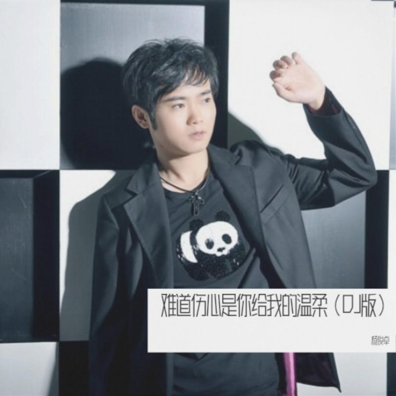 难道伤心是你给我的温柔 (DJ版)封面