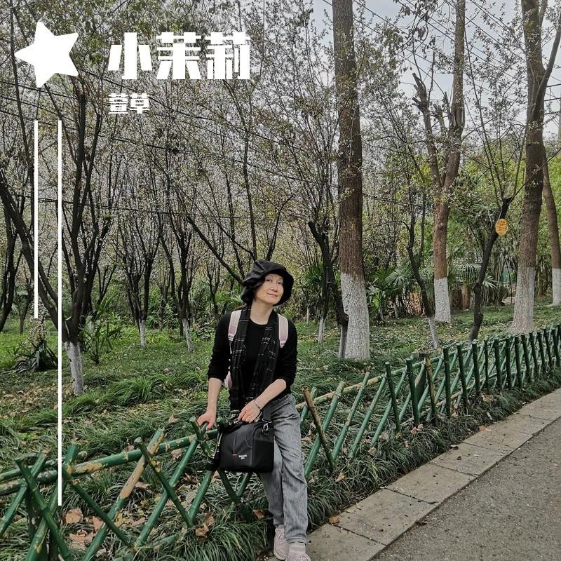 我愿意(管弦乐版)封面