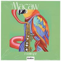 Macaw