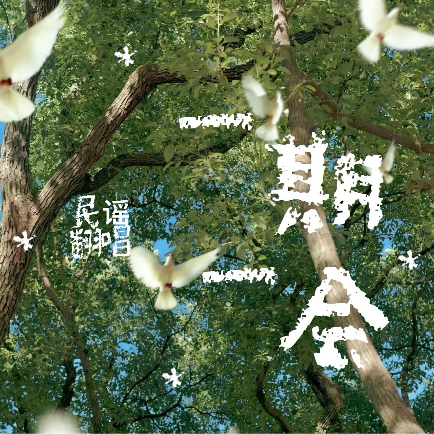 向云端(女声独唱版)封面