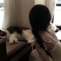 林紫云资料,林紫云最新歌曲,林紫云MV视频,林紫云音乐专辑,林紫云好听的歌