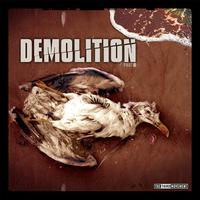 Demolition 8, the vinyl