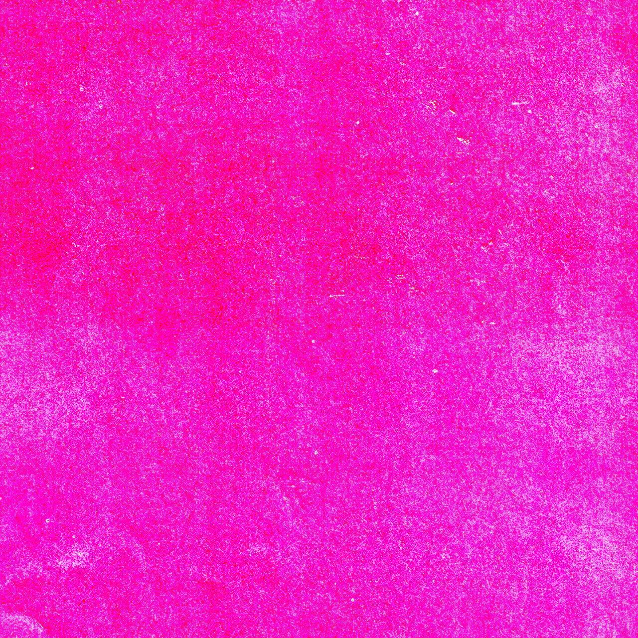 Dizaster (aka This World Should Not Exist)