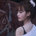 爱江山更爱美人 (DJ版)(DJ半只狐狸版)封面