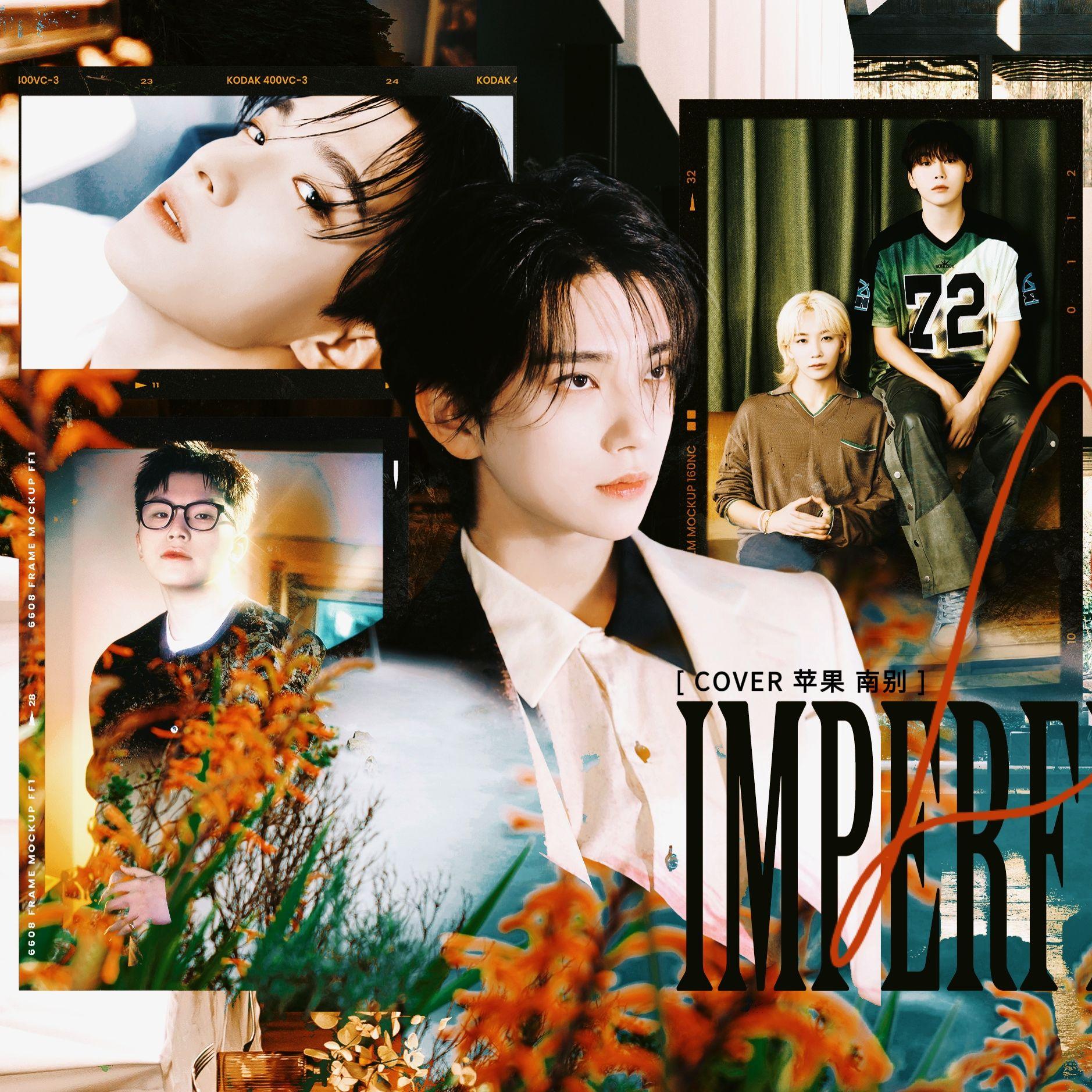 IMPERFECT LOVE - 南别、苹果真果粒封面